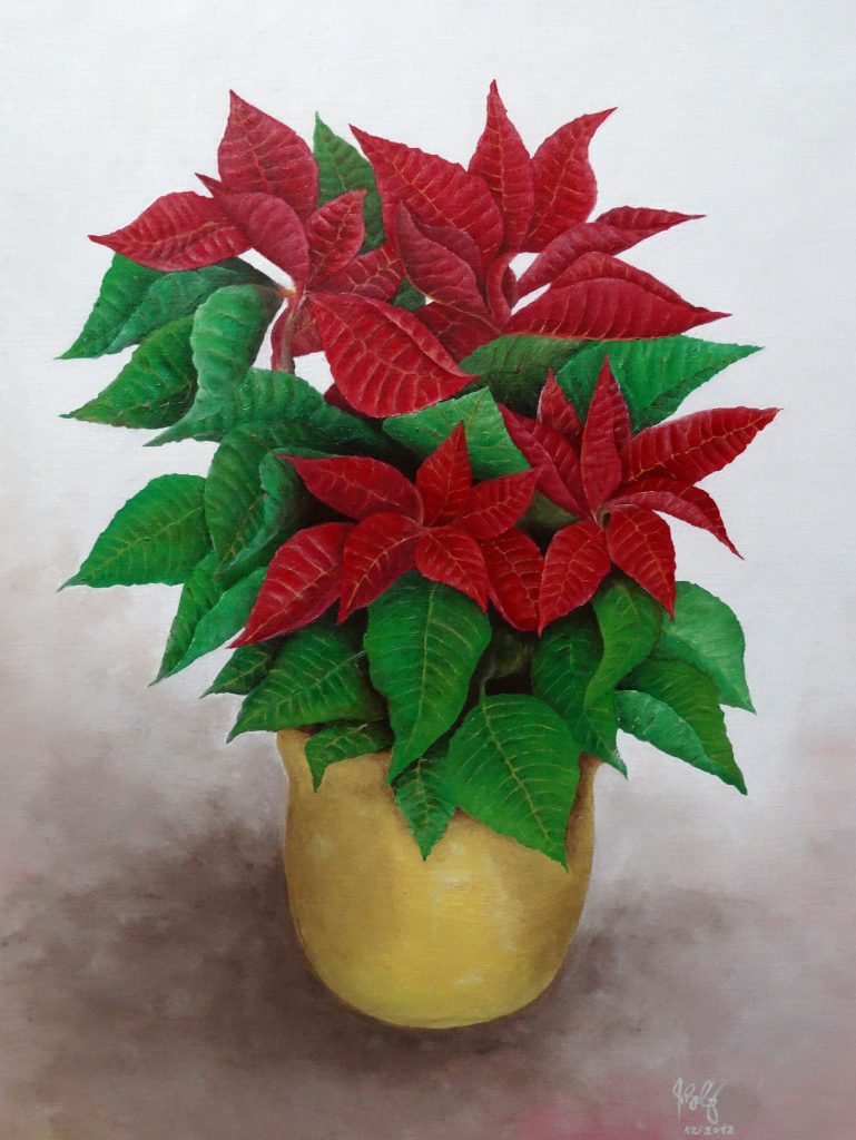 Weihnachtsstern
